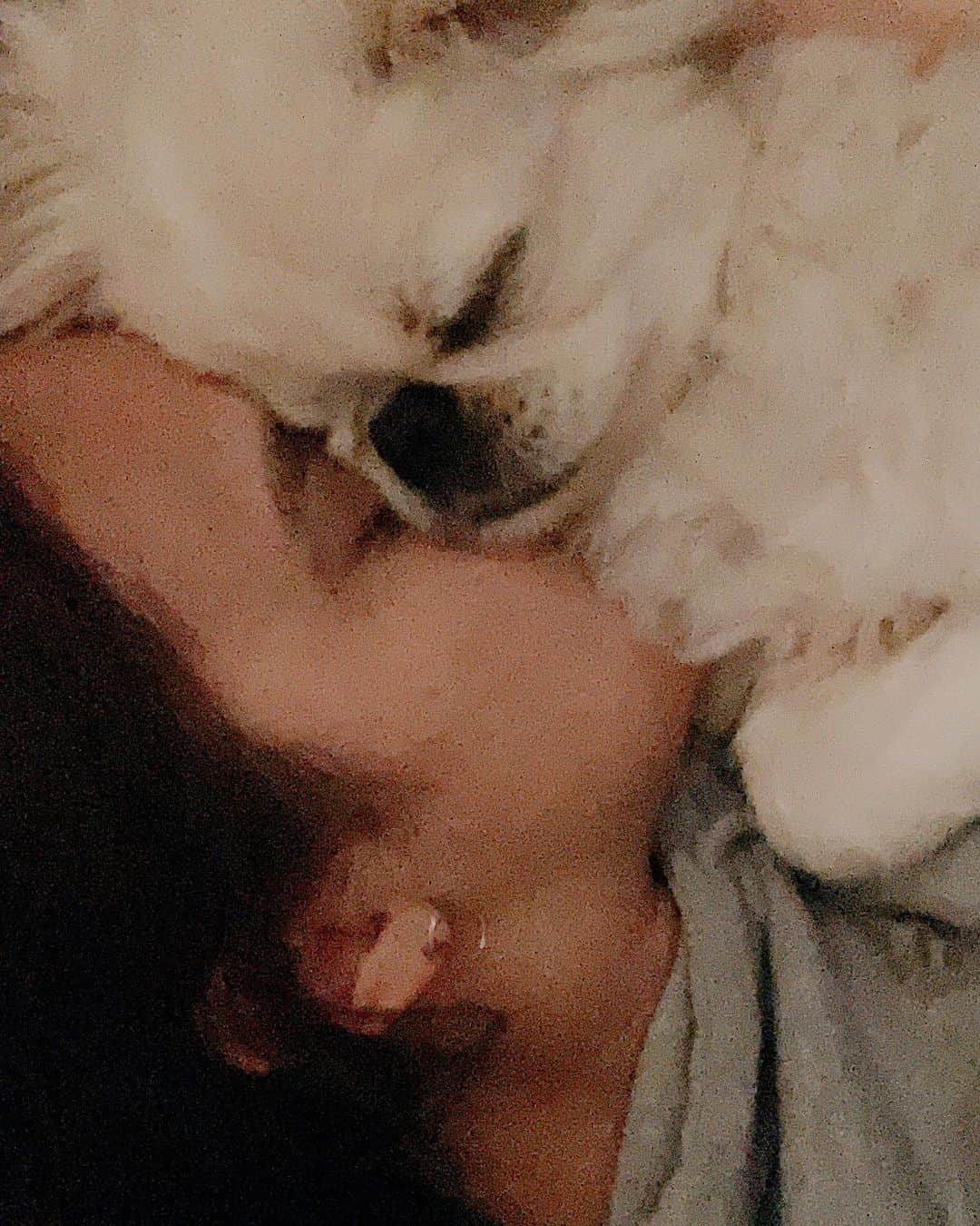 石田ニコルさんのインスタグラム写真 - (石田ニコルInstagram)「♡♡♡  #pekingese #netflix」1月31日 20時55分 - nicole_ishida