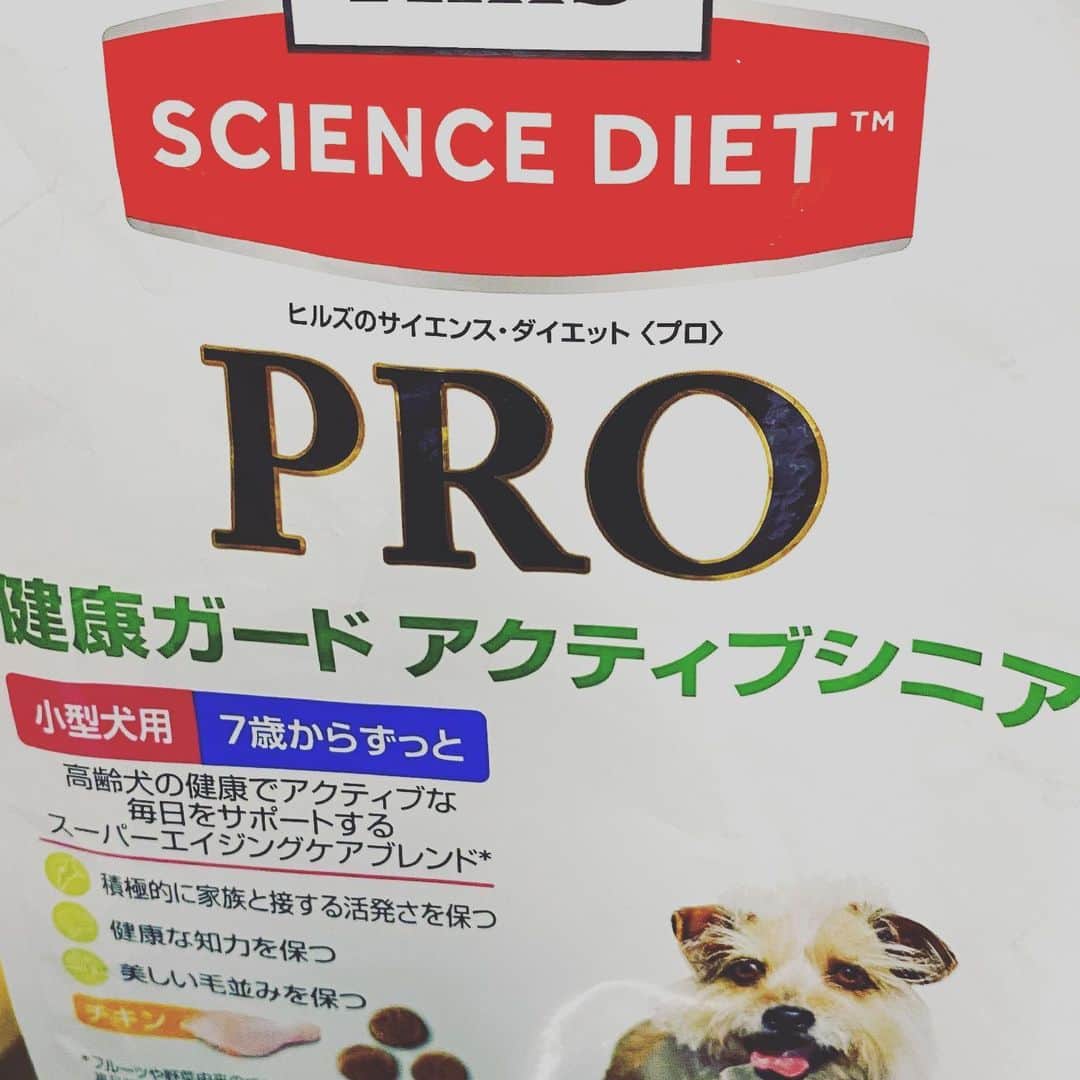 匠ひびきのインスタグラム：「モモちゃん、昨日買ってきたご飯もひと口も食べてくれない😩😩  缶詰めのササミを少しだけど食べてくれた。  元気だし、宅急便さんにもワンワンはしゃいでいつも通りだし。  今日、もう一度、色々買ってきました。　　  明日は、どれでも良いから、しっかり食べて欲しい〜🥺🥺  朝もお腹空いた〜って、起こさない子だし😔😔  お腹が空いたら、人間も動物も絶対に食べる‼️ってわかっていても、ぺったんこのお腹を撫でると🤣🤣 おやつをあげない‼️って言っていても１個2個は、あげてしまった🤦‍♀️😩😩  勿論、ぶーこモモちゃんだから、ダイエットは、良い事なんだけど🤦‍♀️🤦‍♀️😔  急にするのは、心配だからゆっくりしてちょうだい。  自分で動きにくいってわかったのかな？  抱っこする時、痛いよーって言う私の声届いたかしら？  それとも、長生きする為、食べすぎ要注意してるのかしら？  モモちゃん、明日は、朝だけでもしっかり食べてね。」