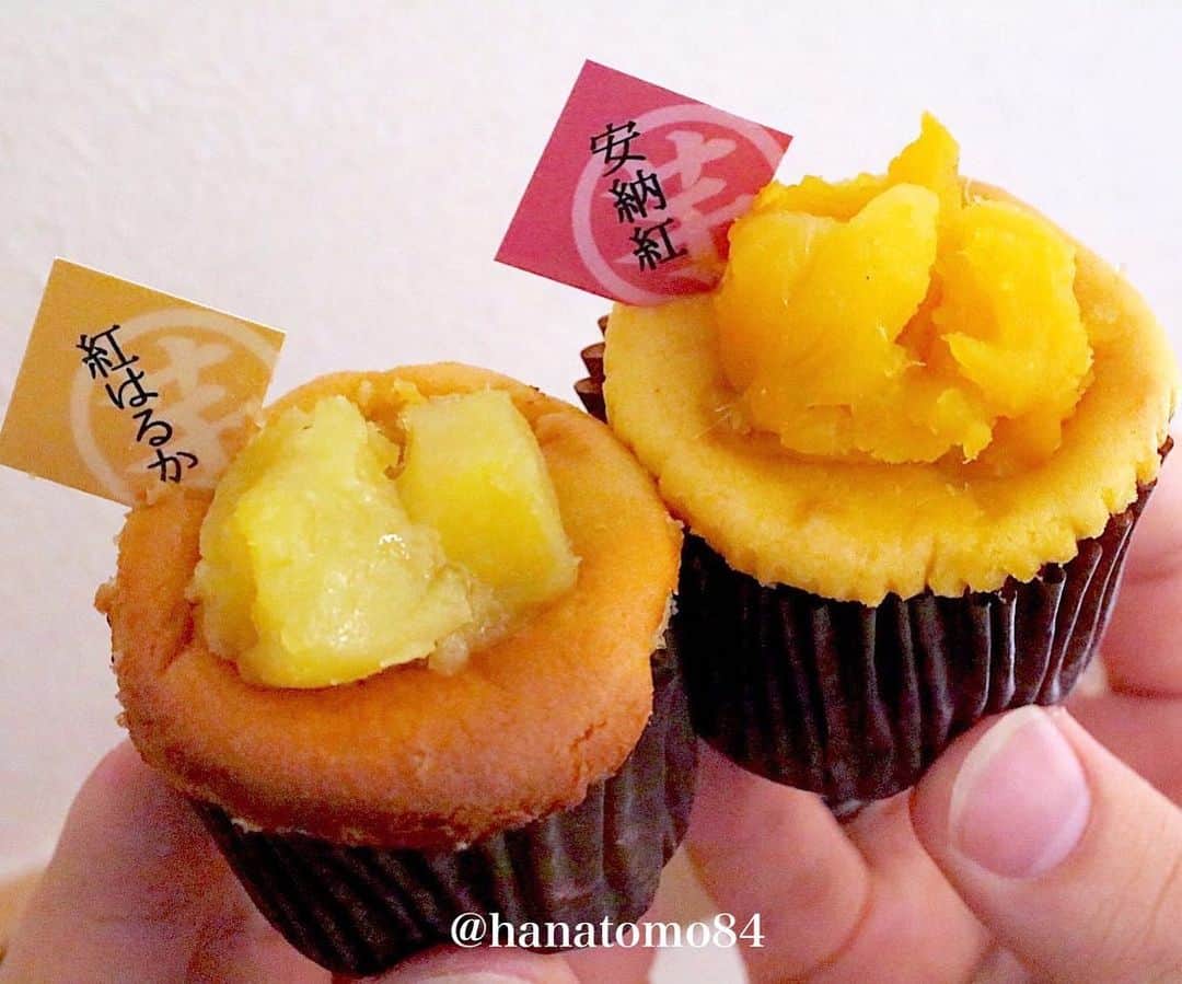 はなとものグルメインスタ