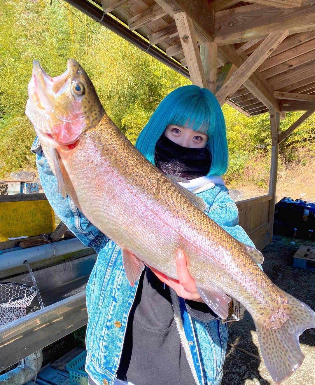 MAYUさんのインスタグラム写真 - (MAYUInstagram)「． マイトサーモン🎣 56㎝2.4㌔釣れました いつもお世話になっている 黒保根渓流フィッシングさん 常に県外に出るときは準備をしてます そして黒保根さんも常にしてくれてます」1月31日 21時33分 - chu_z_mayu