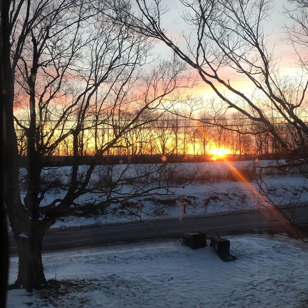 シャノン・ルシオのインスタグラム：「My new 7 am view.  #sunrise #nofilter #abrandnewday #happytobehere #hellosunshine #coffeeplease」