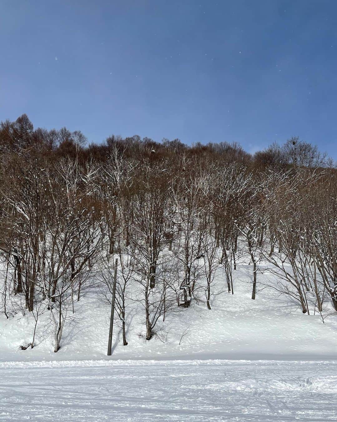 坂村かおるさんのインスタグラム写真 - (坂村かおるInstagram)「・ 雪景色が見たくて、武尊山まで足を延ばしました。 ・ チラチラと舞い落ちてくる雪に、足先は氷の様に冷たくなってしまうまで魅力されてしまいました⛄️ ・ ・  いつも「いいね！」を頂きありがとうございます。﻿ 皆さんのコメントに元気を貰っています😊﻿ ﻿ ﻿ #クィーンオブ美魔女﻿ #team美魔女﻿ #美ST﻿ #坂村かおる﻿ #トータルビューティーアドバイザー﻿ #美しく老いる﻿ #バランス﻿ #美容﻿ #コスメ﻿ #ファッション﻿ #今日のコーデ﻿ #トータルバランス﻿ #お洒落な人と繋がりたい﻿ #コスメ好きな人と繋がりたい﻿ #美意識高い人と繋がりたい﻿ #美魔女﻿ #美魔女が変わる﻿ #アップデートしてる人と繋がりたい﻿ #映像のまちあしかが﻿ #素通り禁止あしかが﻿ #アラフィ﻿ #笑顔﻿ #５０代から綺麗になれる﻿ #美100﻿ #雪景色﻿ #武尊山﻿ ＃雪﻿」1月31日 21時58分 - kaoru.sakamura