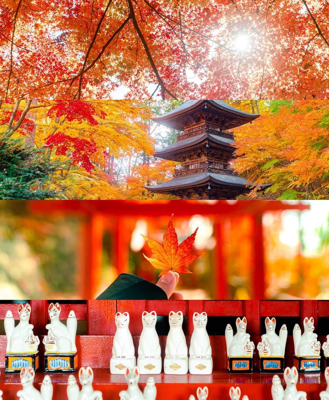 6151のインスタグラム：「優しい空気に包まれる癒しの場所へ。｜長野県佐久市の旅  今回の旅は「長野県佐久市」へ。 東京から新幹線で約75分、 あっと言う間に行けちゃう佐久市の 癒しスポットを巡ってきました。  「鼻面稲荷神社」には可愛いお稲荷さんが。 晴れた日の木漏れ日が美しかった。  Hanako No.1193  #hanakotravel 掲載中です。 店頭でお見かけの際は お手に取ってご覧ください。 電子書籍もあるよ☺️」