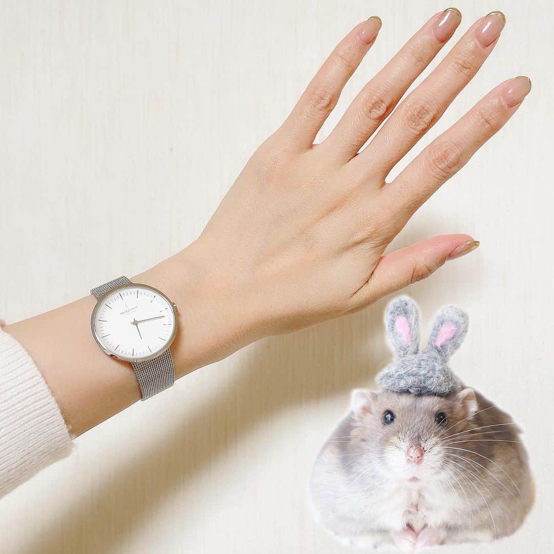 hamster_mocoさんのインスタグラム写真 - (hamster_mocoInstagram)「ノードグリーン @nordgreenofficial_japan さんの素敵な腕時計が届きました⌚✨ ･ いつもゴールドを選ぶ事が多いのですが、久しぶりにシルバーの時計を選ばせていただきました☺️ ゴールドよりクールな感じになるのでパンツスタイルやシルバーのアクセサリーと一緒に付けるのが楽しみ😚🎶 ･ 雰囲気を変えたい時はピンクの革のバンドに付け替えて女子力高めで使えるのもめっちゃお気に入り🥰 ･ 15％OFFクーポンコード（1/31まで有効） 【⠀ASAHI⠀】 Website→→→ https://bit.ly/2K8JVZx ･ 大切な人へのギフトはもちろん自分へのご褒美にもオススメです🎁💕 2021.1.31 ･ #nordgreen#ノードグリーン#プレゼント#冬コーデ  #ハムスターミチ#ハムスター#ジャンガリアンハムスター#ジャンガリアン#ブルーサファイア#ブルーサファイアハムスター#ジャンガリアンブルーサファイア#ふわもこ部 #モフモフ#ペット#ハムスタグラム #hamster#djungarian#hamstagram#hammy#happy_pets#PET_OF_OUR_WORLD#igersjp#ig_japan#instapet」1月31日 22時11分 - asahi.fl