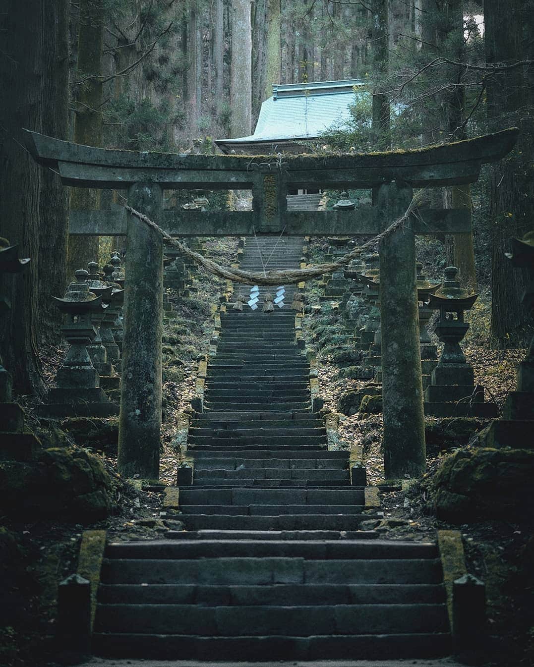 Berlin Tokyoのインスタグラム：「Climb the stone stairs for worship. There are more than 100 stone lanterns on the approach to the kamishikimikumanoimasu shrine, deep in the dense forest. . . . #hellofrom kumamoto #japan」