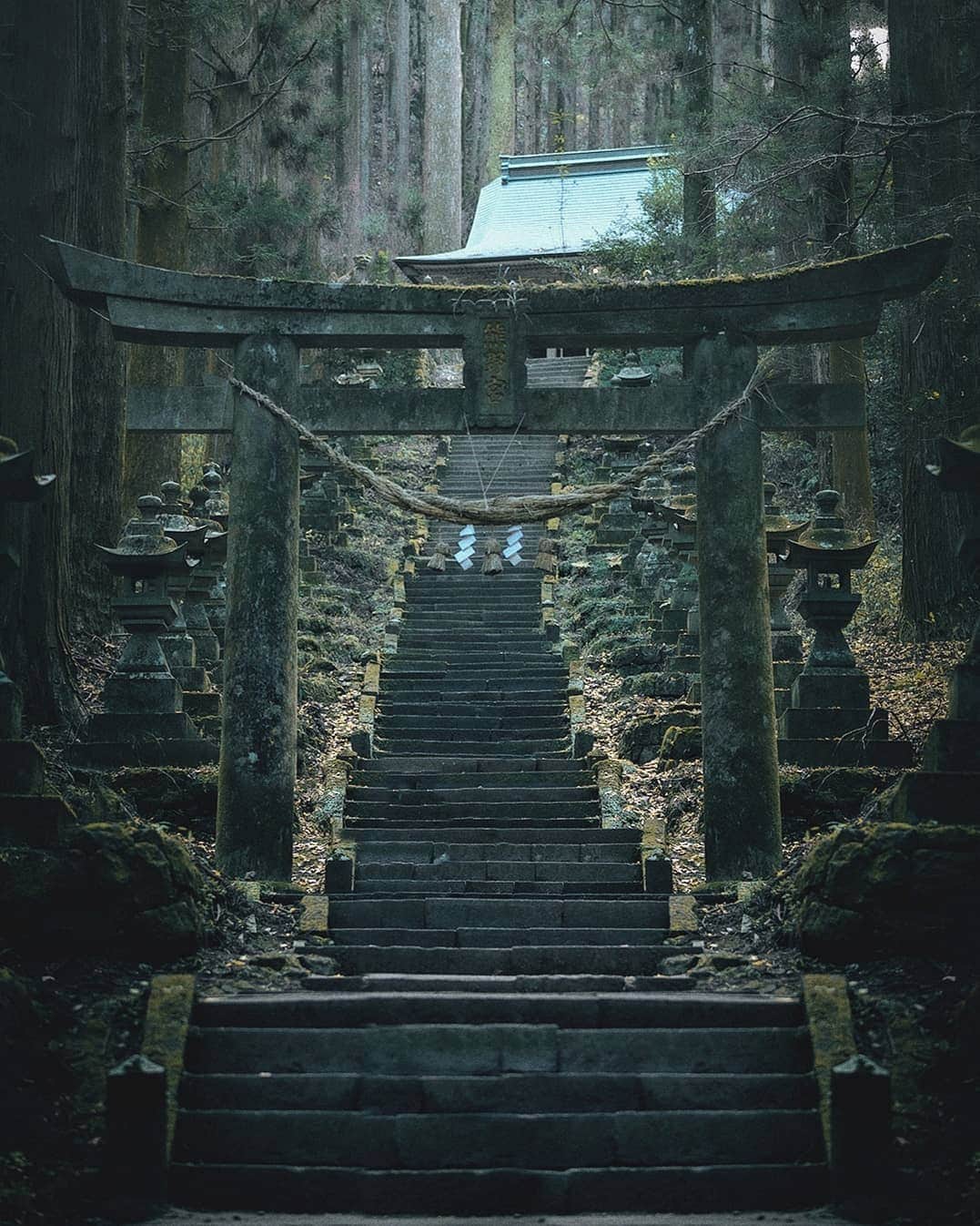 のインスタグラム：「Climb the stone stairs for worship. There are more than 100 stone lanterns on the approach to the kamishikimikumanoimasu shrine, deep in the dense forest. . . . #hellofrom kumamoto #japan」