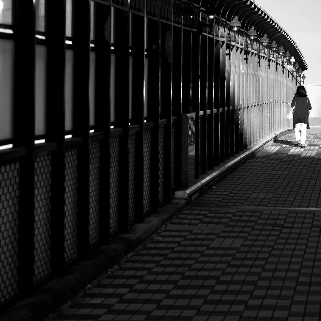 naotakeのインスタグラム：「橋 - A bridge / X-T2 & Snapseed, 20210201 . . 宿題のある日曜日。 . . #spicollective #royalsnappingartists #infamous_family #rsa_main #infinity_photo_cult #jp_gallery_member #jp_gallery_bnw #trb_bnw #wp_bnw  #bnw_life #bnwlife_member #bnw_life_shots #bnw_captures #world_bnw #top_bnw #team_jp_ #team_jp_モノクロ #ig_energy_bw #ig_nihon #streetphotographybnw #igersjp #blackandwhite #bnw #bnwphoto #monochrome #bw #bnwphotography #fujifilm_xseries #今日もx日和」