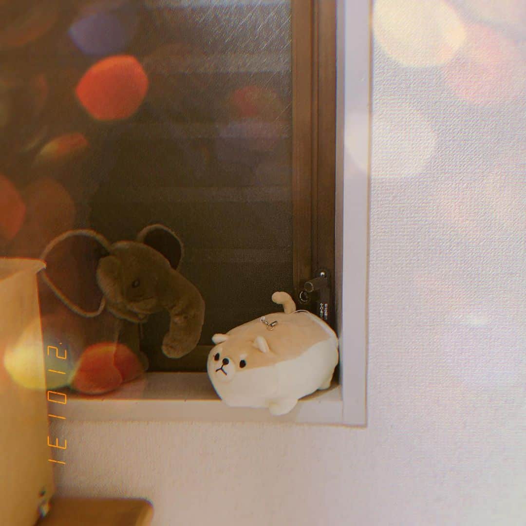 海月咲希さんのインスタグラム写真 - (海月咲希Instagram)「動物達の密会。  家の気に入ってる小窓になんとなくぬいぐるみ置いてみたらこっそり話してるみたいな感じになっててなんか可愛い(笑)  #自宅のお気に入りスポット  #ぬいぐるみ  #無駄にエモくする」1月31日 22時58分 - saki_mitsuki