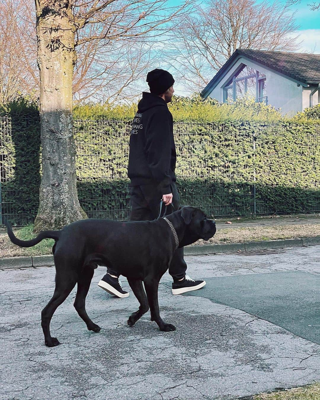 ラルフ・フェールマンさんのインスタグラム写真 - (ラルフ・フェールマンInstagram)「🖤sunday walk🖤 #manfred」1月31日 23時06分 - ralle.1