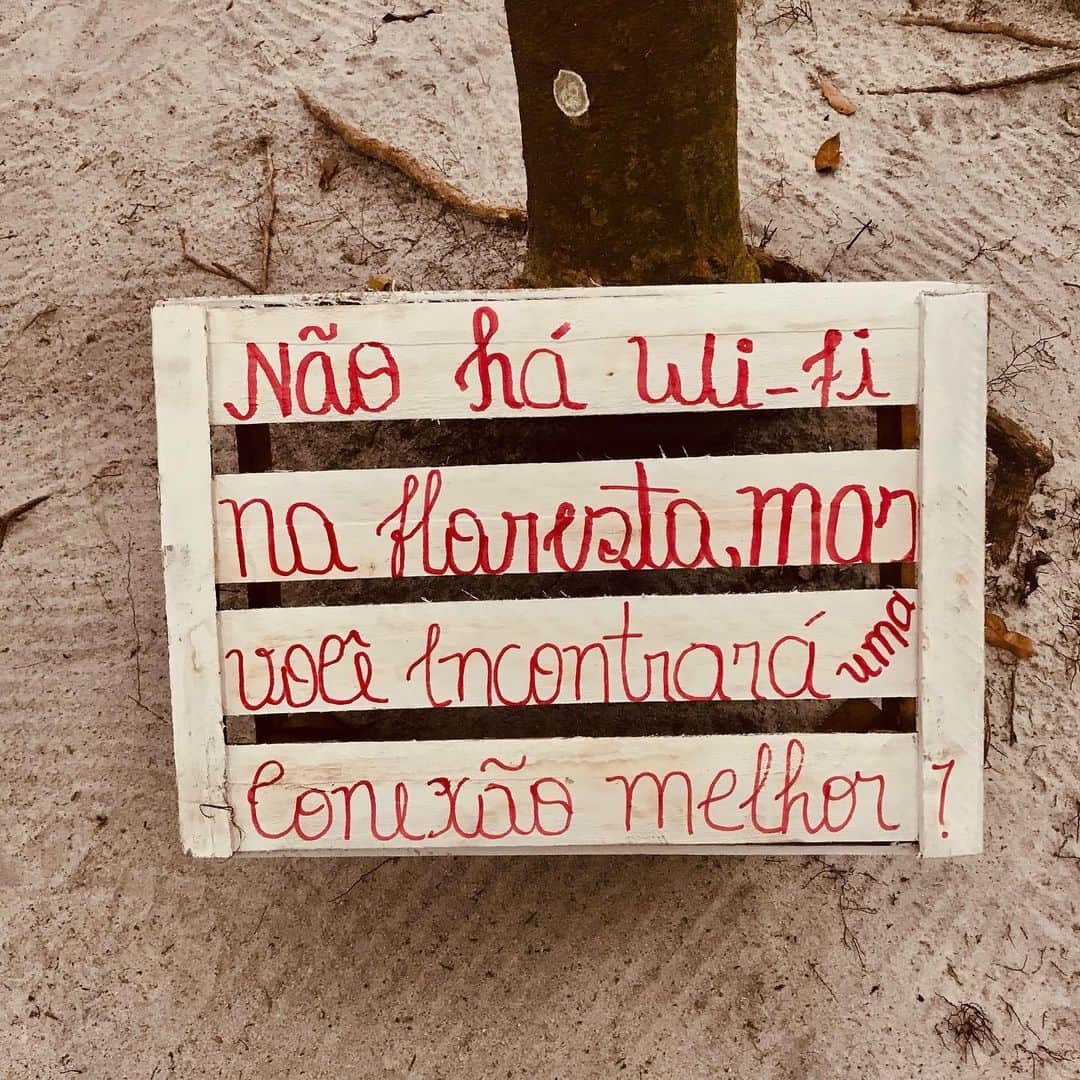 マーロン・テシェイラのインスタグラム：「— “There is no WiFi in the forest, but you will find a better connection.” 🌻🐒✌🏽 —- 🎩...Peace&Light...♻️ —- #GoodVibesOnly」