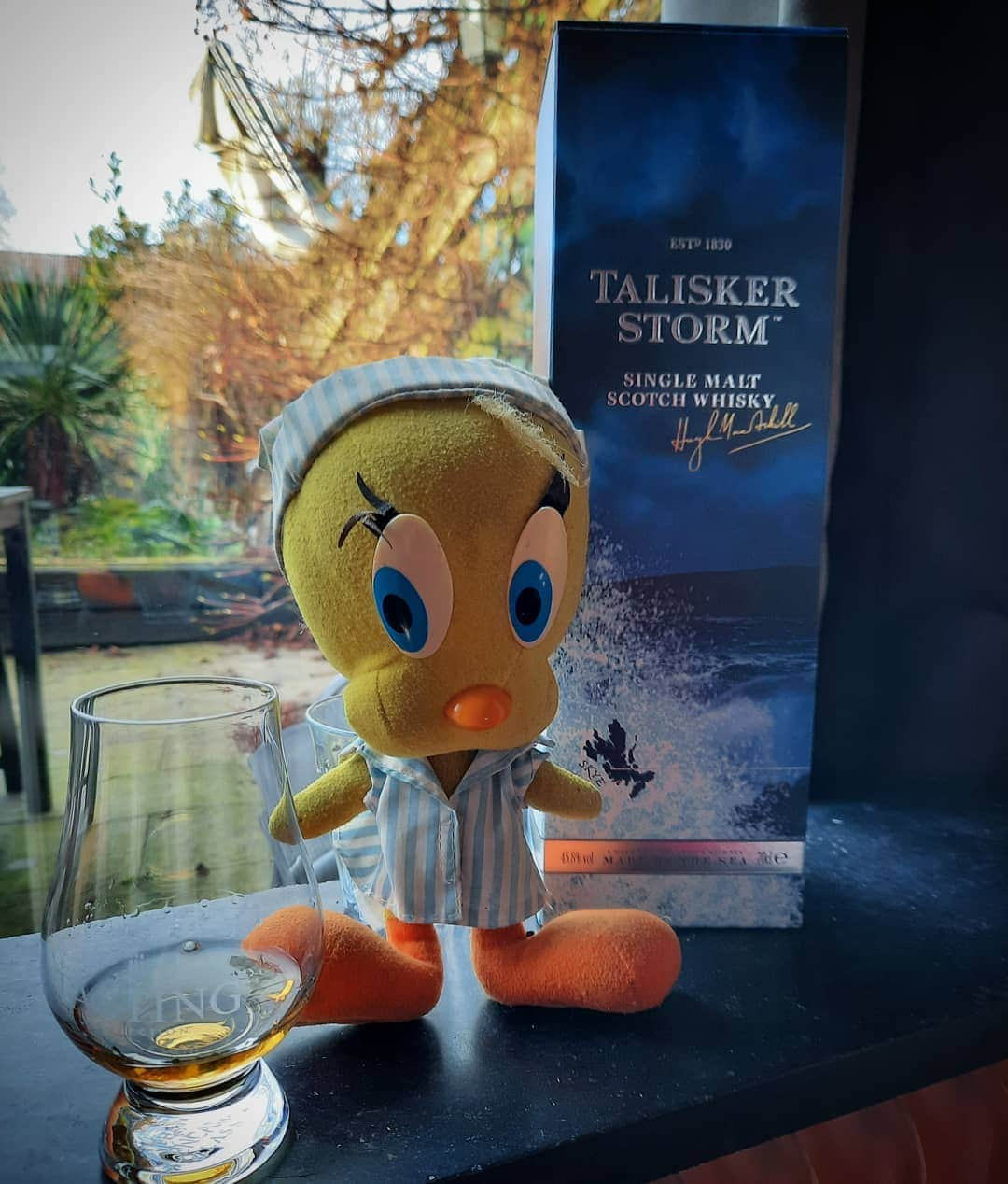 Little Yellow Birdさんのインスタグラム写真 - (Little Yellow BirdInstagram)「Enjoying a good dram on this last day of January! #littleyellowbird #tweety #tweetykweelapis #adventures #yellow #bird #weekend #sunday #sundayevening #whisky #singlemalt #scotch #talisker #storm #dram #winter #january #stuffedanimalsofinstagram #plushiesofinstagram」1月31日 23時42分 - tweetykweelapis