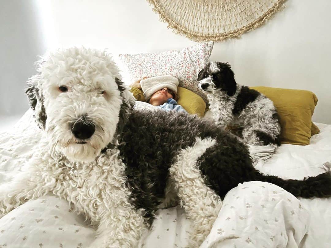 ジェニファー・エスポジートのインスタグラム：「Woke up like this」