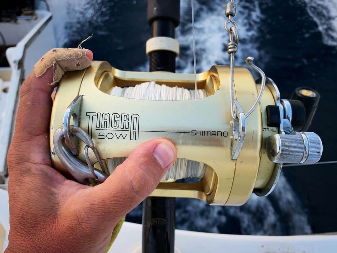 シマノ｜Fishingのインスタグラム：「Running strong with tons of nautical miles on the odometer. Do your 50 Wides have wild offshore tales to tell?   #FishShimano #Tiagra #Tiagra50W #OffshoreFishing 📸: @celus」