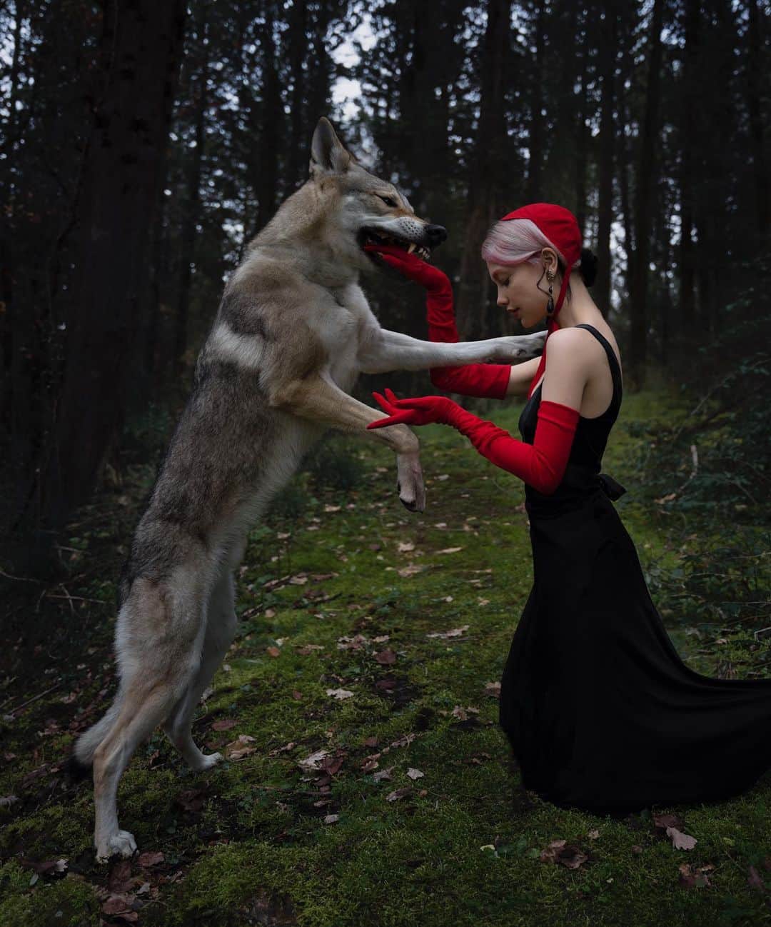 エリーナ・シェンドリンのインスタグラム：「Hello, I'm Little Red Riding Hood. I invite you to our ball, tonight.  Design and sewing of clothes @iracataldi」