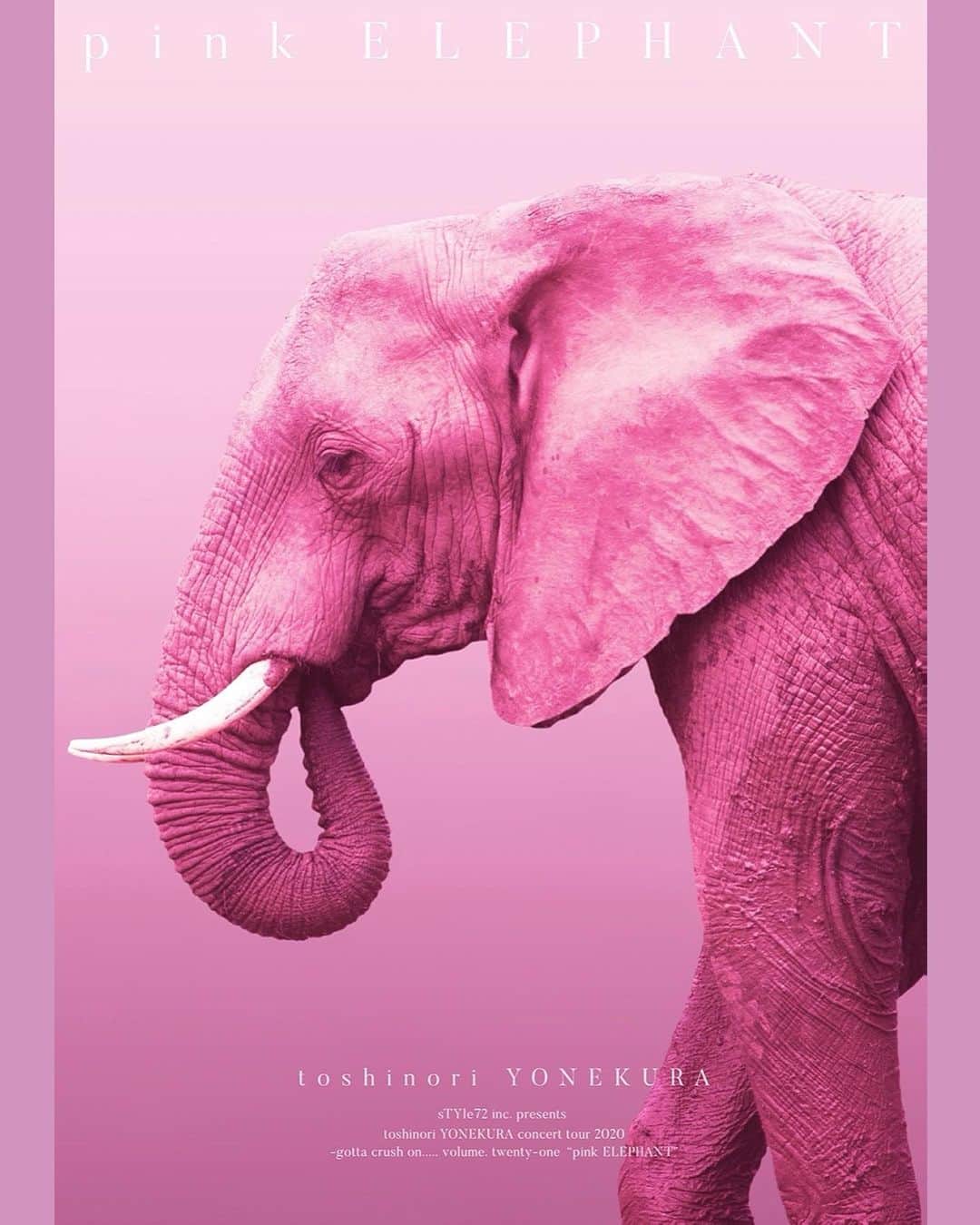 米倉利紀さんのインスタグラム写真 - (米倉利紀Instagram)「DVD ”pink ELEPHANT” 発売決定！！  2020年10月21日。 米倉利紀48回目の誕生日に行われた「pink ELEPHANT -WE ARE BACK」東京・Zepp Tokyo公演を完全収録。 WOWOWで放送されなかったあの名曲を含む全19曲。  title:  sTYle72 inc. presents toshinori YONEKURA concert tour 2020 -gotta crush on….. volume. twenty-one “pink ELEPHANT”  release: 2021. 3. 3 price: ¥6,000(plus tax) / stldvd-00018  ＊ONLINE STOREのみの販売になります 　詳細は追ってお知らせ致します  tracks: 01. opening 02. merry-go-round 03. see EYE to EYE 04. LOVE GEAR 05. say hello 06. GOOD MORNING 07.  愛日 08. words 09. vintage 10. let’s get started 11. HIPSTER 12. I’m so ready 13. 僕と君の関係 14. love is the key 15. キーホルダー 16. believe 17. ALL OR NOTHING 18. 大丈夫っ！ 19. CHANCE 20. HERO 21. elephant LOVE 22. ending  たくさんのご注文が予想されます。 限定数ごとの販売、ご注文を受けてから発送完了次第、次のご注文受付とさせていただきますことを予めご了承ください。」2月1日 0時03分 - toshi_yonekura