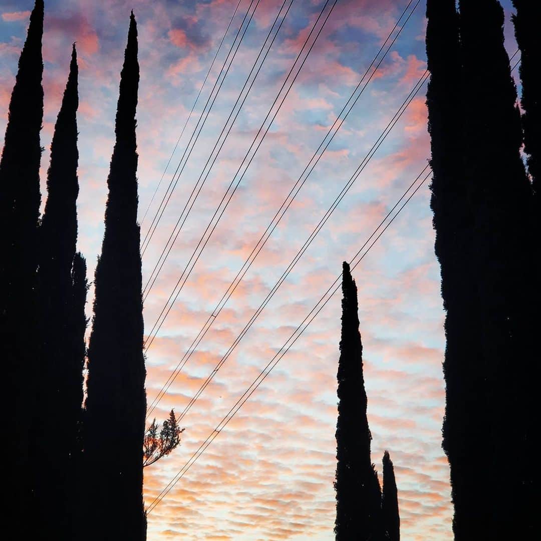 のインスタグラム：「Good morning #shadowhills #clouds #cloudslut #sunrise」