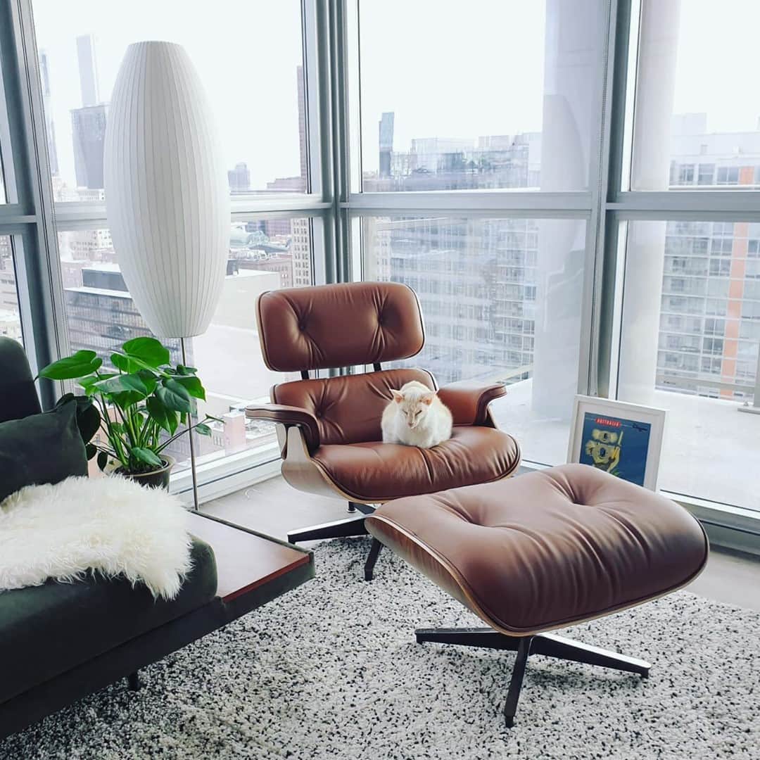 Herman Miller （ハーマンミラー）さんのインスタグラム写真 - (Herman Miller （ハーマンミラー）Instagram)「We can all learn a thing a two from sleepy cats—like how to tap into complete relaxation. Invest in your rest and comfort with your own Eames Lounge Chair. Shop now for 15% off and free shipping. #hmathome  📸 @sue.hagley」2月1日 1時00分 - hermanmiller