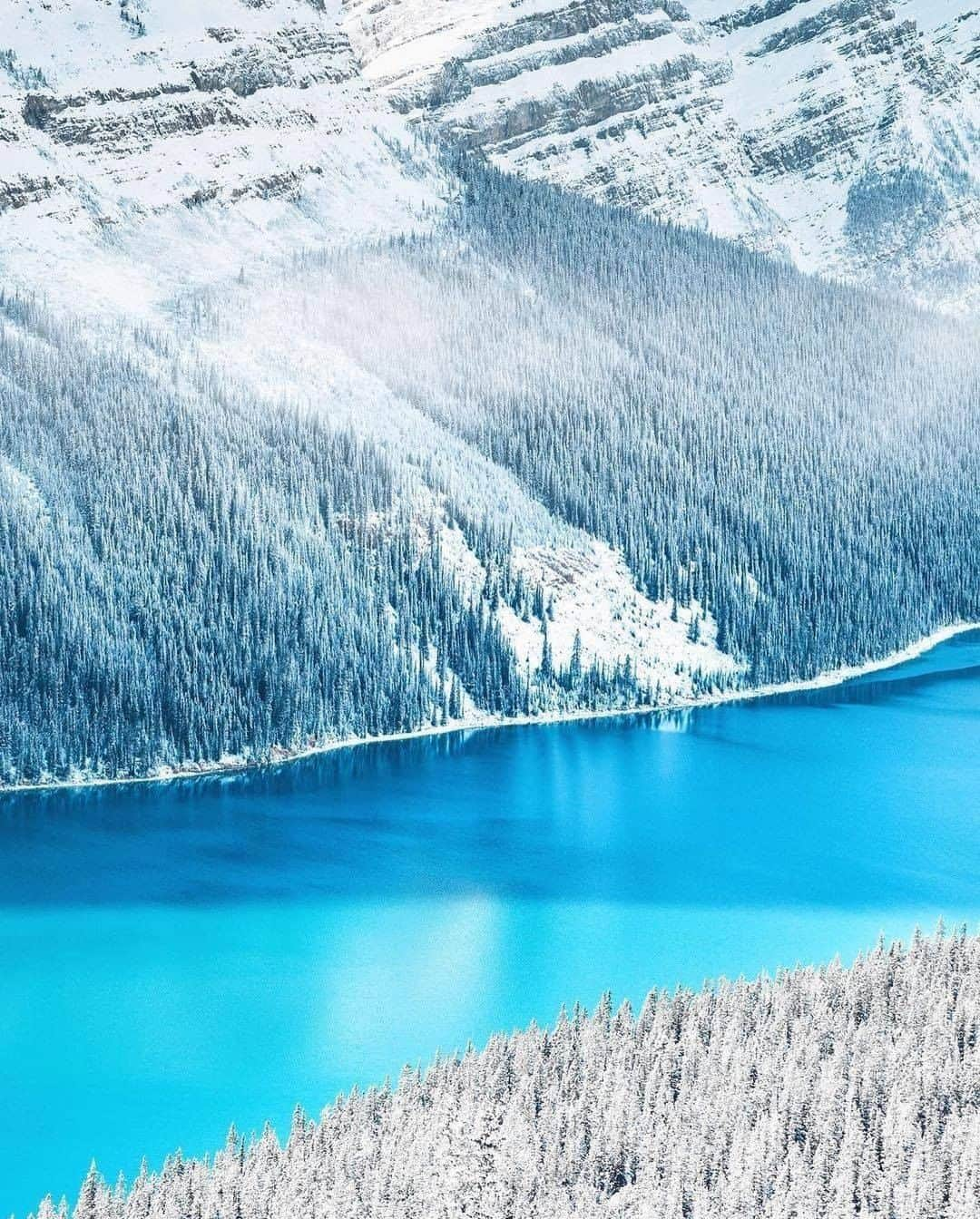 Discover Earthさんのインスタグラム写真 - (Discover EarthInstagram)「Who would you like to be walking with in this winter wonderland?  The UNESCO World Heritage-listed Canadian Rockies stretch for 69,498sqmi (180,000sqkm) through British Columbia and Alberta. The region brings in millions of visitors from around the world every year, due to its picturesque views at every turn.  #discovercanada🇨🇦 with @joemackin  . . . .  #banffnationalpark  #banff  #mybanff  #travelalberta  #alberta  #banfflife  #explorealberta  #rockymountains  #travelcanada  #rockies  #explorecanada  #tourcanada  #enjoycanada  #imagesofcanada」2月1日 1時00分 - discoverearth