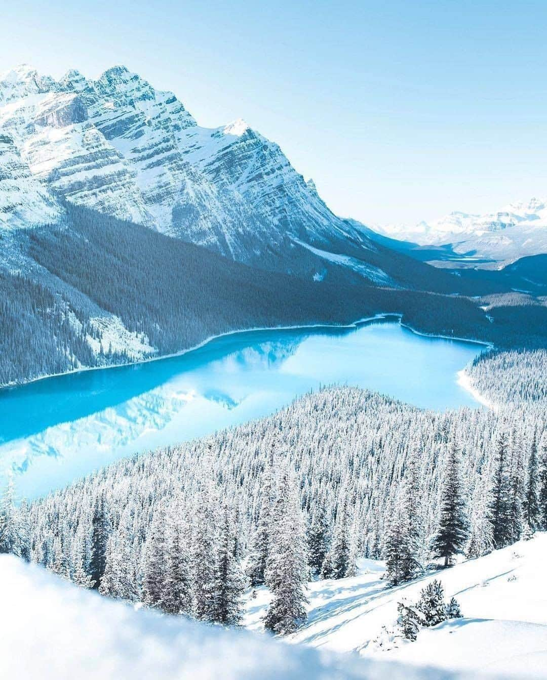 Discover Earthさんのインスタグラム写真 - (Discover EarthInstagram)「Who would you like to be walking with in this winter wonderland?  The UNESCO World Heritage-listed Canadian Rockies stretch for 69,498sqmi (180,000sqkm) through British Columbia and Alberta. The region brings in millions of visitors from around the world every year, due to its picturesque views at every turn.  #discovercanada🇨🇦 with @joemackin  . . . .  #banffnationalpark  #banff  #mybanff  #travelalberta  #alberta  #banfflife  #explorealberta  #rockymountains  #travelcanada  #rockies  #explorecanada  #tourcanada  #enjoycanada  #imagesofcanada」2月1日 1時00分 - discoverearth