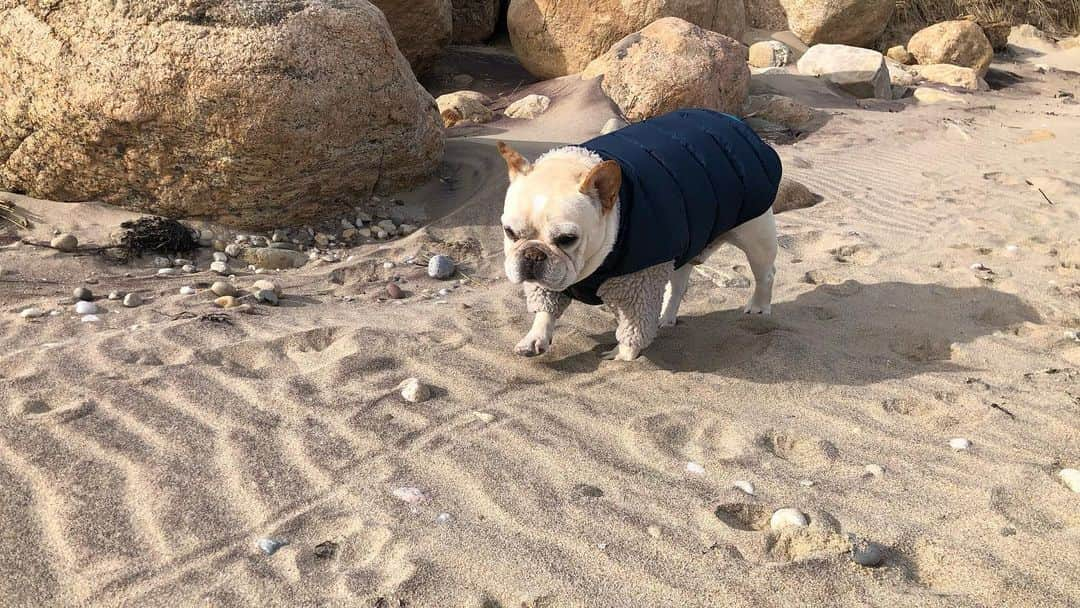 ヒュー・ジャックマンさんのインスタグラム写真 - (ヒュー・ジャックマンInstagram)「“They” say it’s very good for ones circulatory system. I really hope “they’re” right!! #polarbearplunge #allegra #dali #sunday」2月1日 1時05分 - thehughjackman