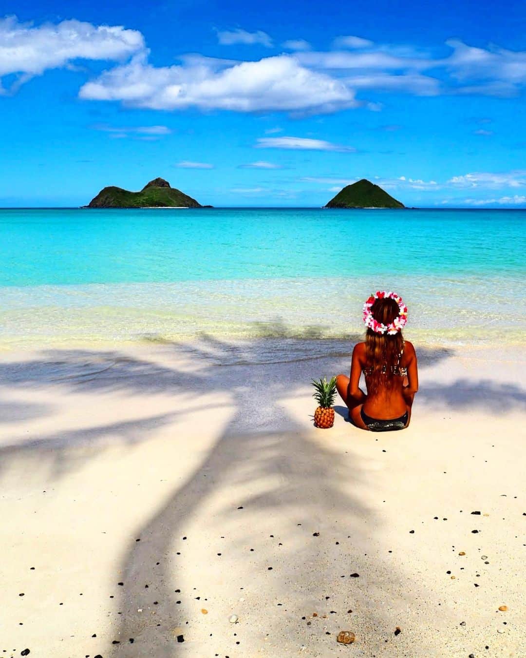 shihoのインスタグラム：「Hello🌴February ・ 大すきな景色と ヤシの木の影とばっちり撮れた お気に入りの写真♡ ・ 1日でも早く この景色を目の前に 〝Hawaiiただいまー！” と 言える日が来ますように🥰💙 ・ 皆さま今月もよろしくお願いします♡ ・ #hawaii#islandofoahu#oahu#ハワイ#trip #オアフ島#travel#loco_hawaii#travel_jp #funtorip#タビジョ#旅MUSE#genic_travel #genic_mag#たびねす#旅行#genic_hawaii #lanikaibeach#カイルア#kailua#sea#beach #tabijyomap_hawaii#lealeahawaii#2021 #oahuhawaii」