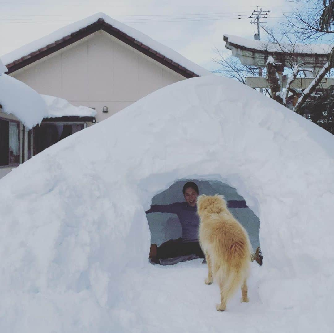 中川真依さんのインスタグラム写真 - (中川真依Instagram)「. 年末に帰省している間に緊急事態宣言が発令されたので、1月いっぱいは石川で過ごしていました☺️✨ . 石川に居るからといって安心な訳ではなかったけど、今年は大雪‼️ どっちにしてもどこへも行けず、娘は初めて認識した雪に大はしゃぎでした☃️❄️💕 . 大人も一緒になって楽しみ、本気を出して人生最大のかまくらが完成ーー🙌😆❄️✨✨ 楽しかった😂❄️❄️❄️ 次はいつ帰れるかな。。。 #石川県 #北陸の冬 #雪遊び #いい運動 #かまくら作り #次の日は筋肉痛」2月1日 11時18分 - maimai.47