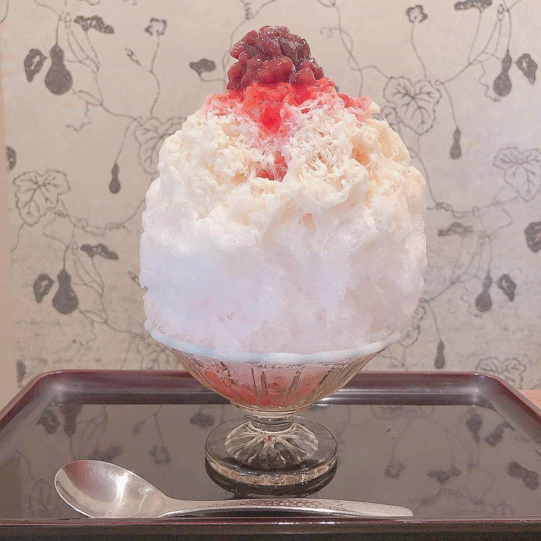 鈴木芽生菜のグルメインスタ