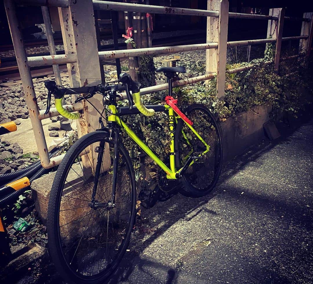 山口賢人のインスタグラム：「今日も一日、一緒にいた相棒  こいつの名前を募集します  コメントで名前教えてください。  いいのあったら速採用」