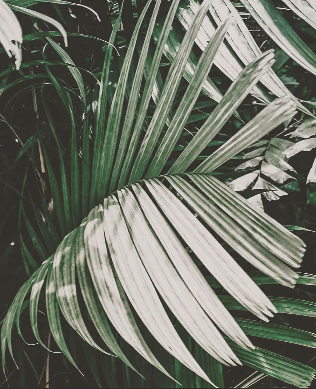 Aylen Aのインスタグラム：「The best feelings are those that have no words to describe them..🤍」