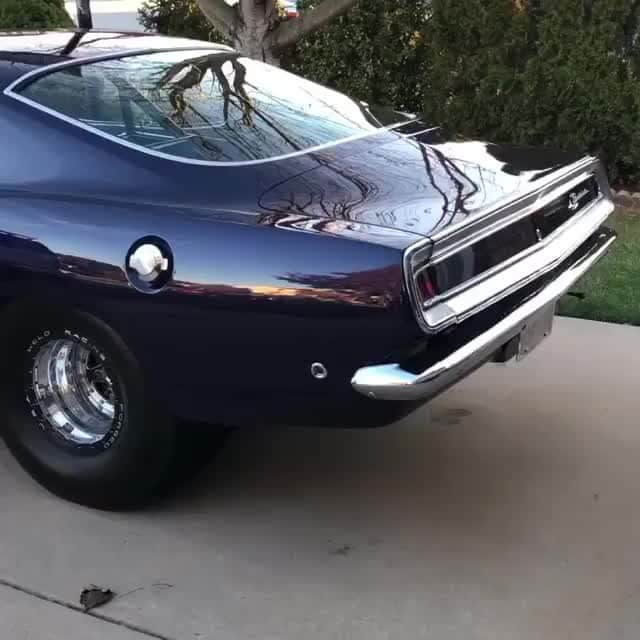 Classics Dailyのインスタグラム