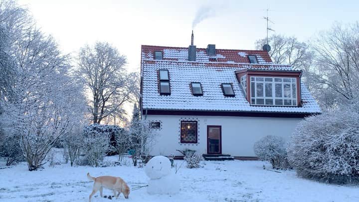 原口るりこのインスタグラム：「. . 今朝はマイナス9度、 窓を開けて吸い込んだ空気が いつもよりずっと冷たくて、 なんとなく少しだけわくわくしました❄️ . 大型犬のトイレは"お外"のため、 朝食後は 一緒にお庭を歩きます。 その時間がこんな日は清々しく感じます🌿 #大型犬のいる暮らし #ドイツで犬と暮らす . . 1つ目の動画は、 冬らしいものが撮れました。 （朝早かったので少し暗いですね） ドイツの古い一軒家、 赤い屋根に薄っすらと雪がかぶり 2日前に作った雪だるまは 今朝の寒さで硬く固まり艶やかで 雪化粧したお庭と相俟って ここの寒さを引き立ててみせます❄️ ただ、 煙突から流れる煙だけは この家が暖かいことを伝えていて それが映り込むことで この動画から ここに温かい時間が流れていることが伝わるようで とても好きな絵が撮れました✨ #写真を撮ることが好き #動画に残すことが好き . . 【1つめの動画: くるみの木の庭から見るお家】 . 【2つ目の動画: 橋を渡った先のもみの木の庭（右）】 . 【3つ目の動画: もみの木の庭とブラックベリーの柵を挟み 左側のうさぎのくる庭】 . 【4つ目の動画: 陽が射してきたもみの木の庭】 . 【5つ目の動画: 陽が出てきたのでくるみの木の庭を もう一度】 . 原口家がドイツで引っ越した はじめての一軒家には、 ・くるみの木の庭 ・もみの木の庭 ・うさぎのくる庭 （・リスのくる中庭） この4つのエリアがあります🏡 . ❓どのお庭がすきですか？❓ . . きっともう こんなに広いお庭のあるお家は 見つけられないよね、って いつも話しているので沢山残しておこうと思います、 想い出と一緒に。 #都心から離れた暮らし #ドイツの田舎暮らし . . 陽が出てきたお昼のハノーファーは 積もった雪の表面が 暖かい陽の光で溶けはじめ キラキラ光りながら また新しい景色を見せてくれています❄️✨ . . このインスタは なんでもない原口家の日常ばかりですw 物語を読むように なんとなく一緒に ほっこりしていただけたら嬉しいです☺️ . #ラブラドール#広い庭のある家#田舎暮らし#labradorretriever #冬の景色 #雪だるま」