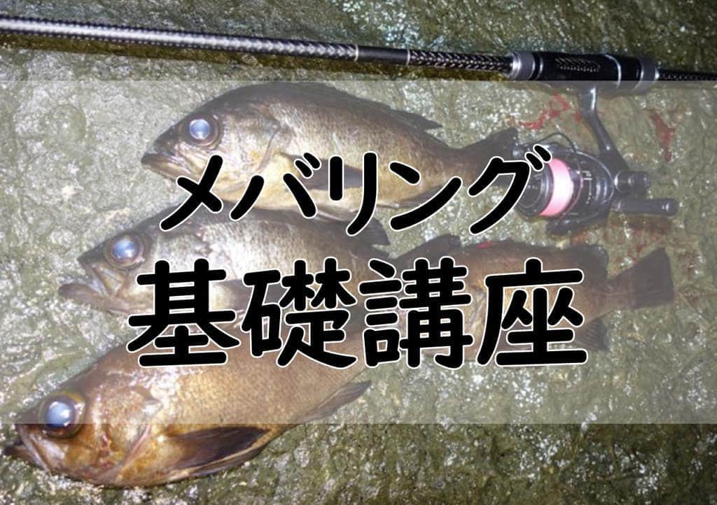 LureNews.TVさんのインスタグラム写真 - (LureNews.TVInstagram)「【シーズン真っ最中】基本を身に付けてフィールドへ！「メバリング基礎講座」  #メバル #メバリング #基礎講座 #ルアーニュース https://www.lurenewsr.com/146135/」2月1日 12時23分 - lurenews