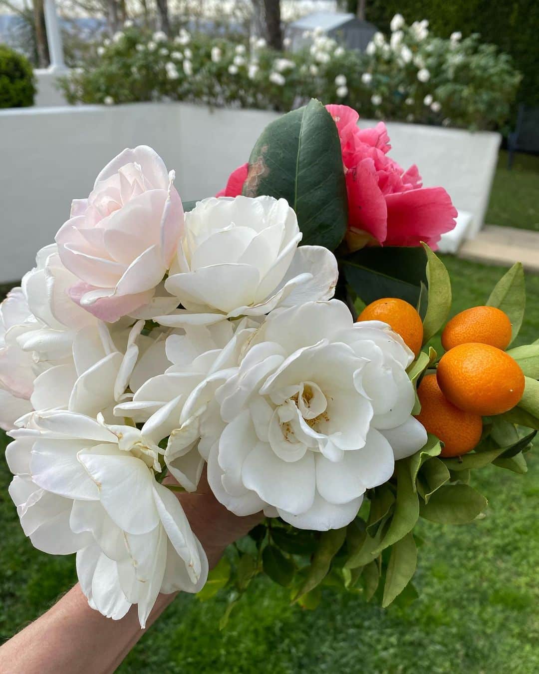 シンシア ローリーのインスタグラム：「Ding Dong ...Flower delivery  happy Sunday」