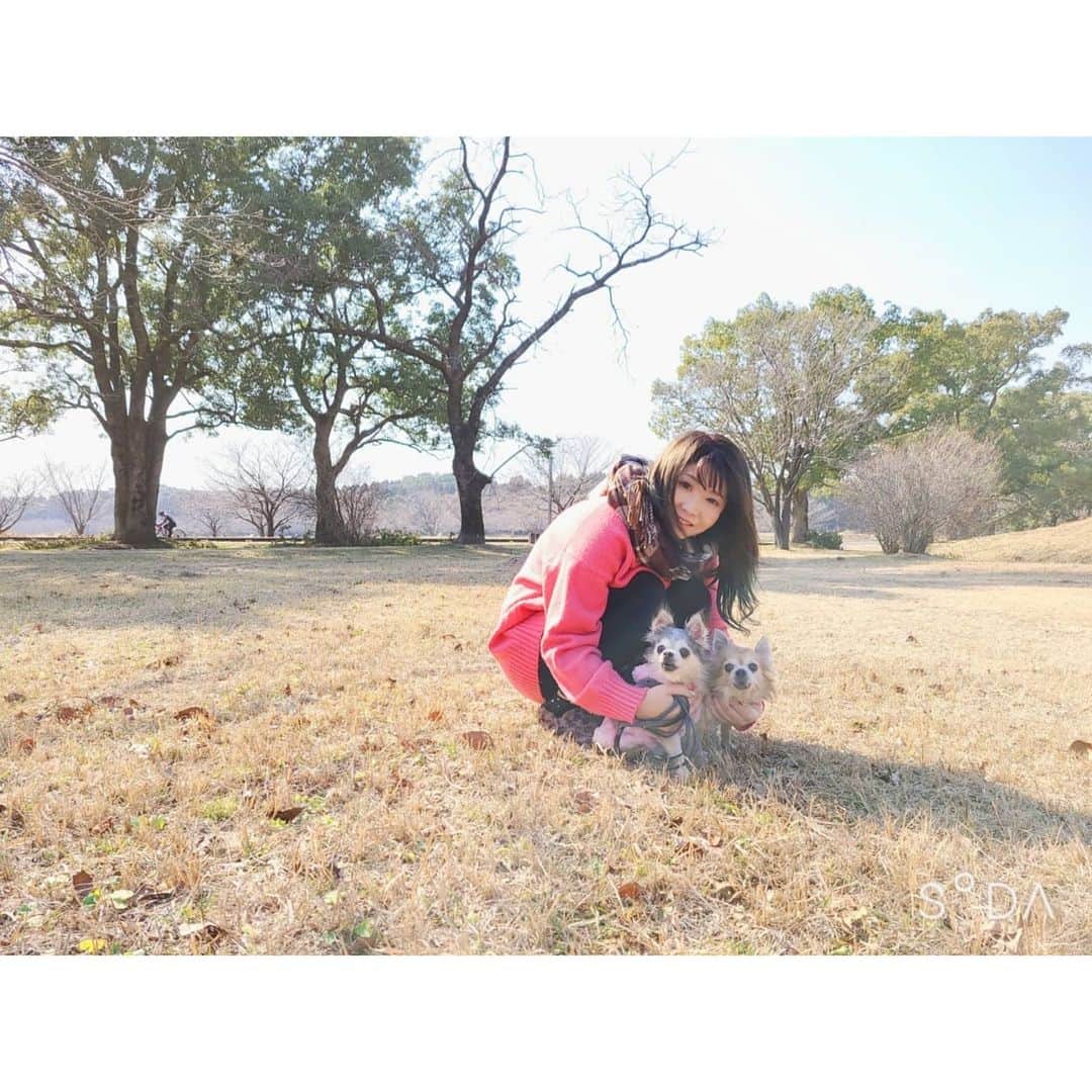 中村まきのインスタグラム