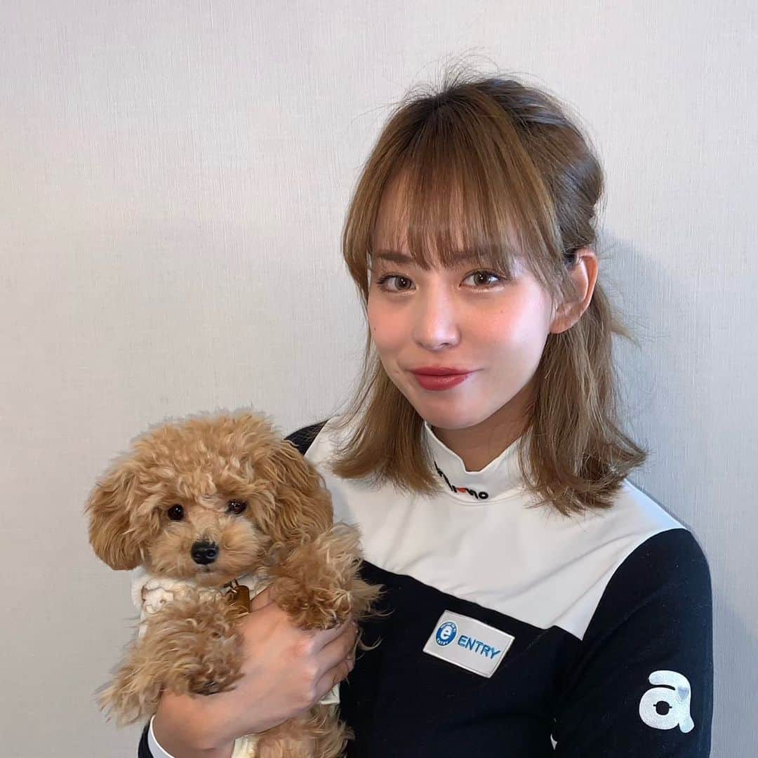 原田怜奈のインスタグラム：「おはようございます☺️ マロンと暮らし始めて 半年になりました🙂 ほんとにほんとに 癒されてます🥺❤️ もっと大変だと思ってたけど ママの支えとか お姉ちゃんの支えが あるから毎日 マロンも幸せなはず🥰 まだまだ 一緒に宜しくね🐶 それではラウンドに 行ってきます😎 . . . . . #愛犬　#女子ゴルフ　#golf」