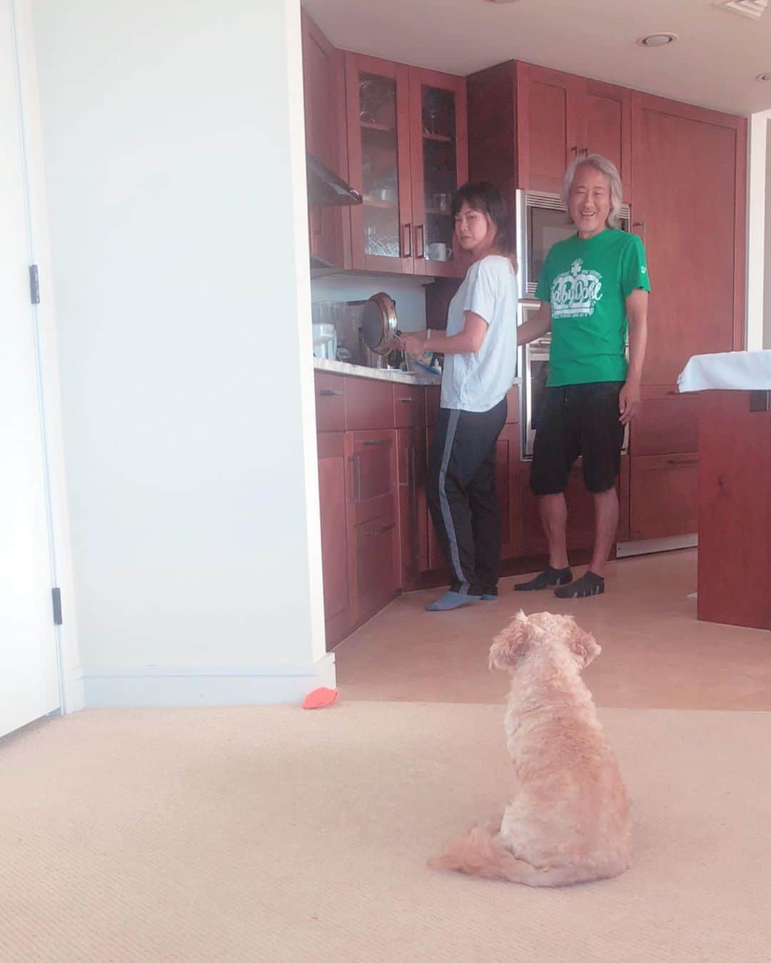 西澤良磨のインスタグラム：「🐶🐶🐶🐶🐶🐶🐶🐶🐶﻿ パーマネントトラベルドックのネリーくん﻿ Permanent Travel Dog Mr. Nely﻿ ﻿ ご飯待ち🍚﻿ Waiting for his food.﻿ ﻿ 可愛くて思わず笑い。﻿ Everybody laughing at him because that’s so cute.﻿ ﻿ 平和だ。﻿ So chill.﻿ ﻿ #パーマネントトラベラー #旅育児 #人生は旅だ #ハワイ #暗号通貨 #犬 #permanenttraveler #lifeisajourney #cryptocurrency #hawaii #dog」