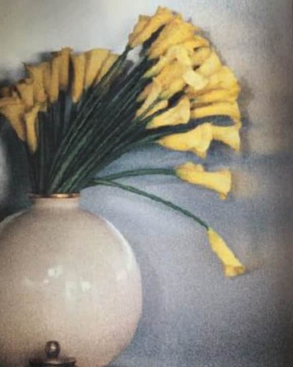 レベッカテイラーのインスタグラム：「Could use more flowers.」