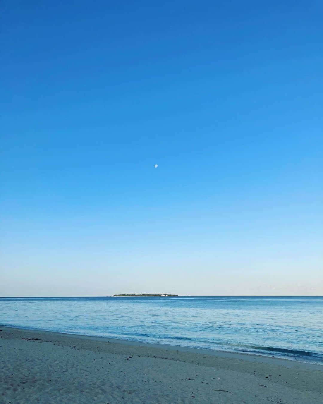 のインスタグラム：「今日も晴れた。良い１日になりますように。」