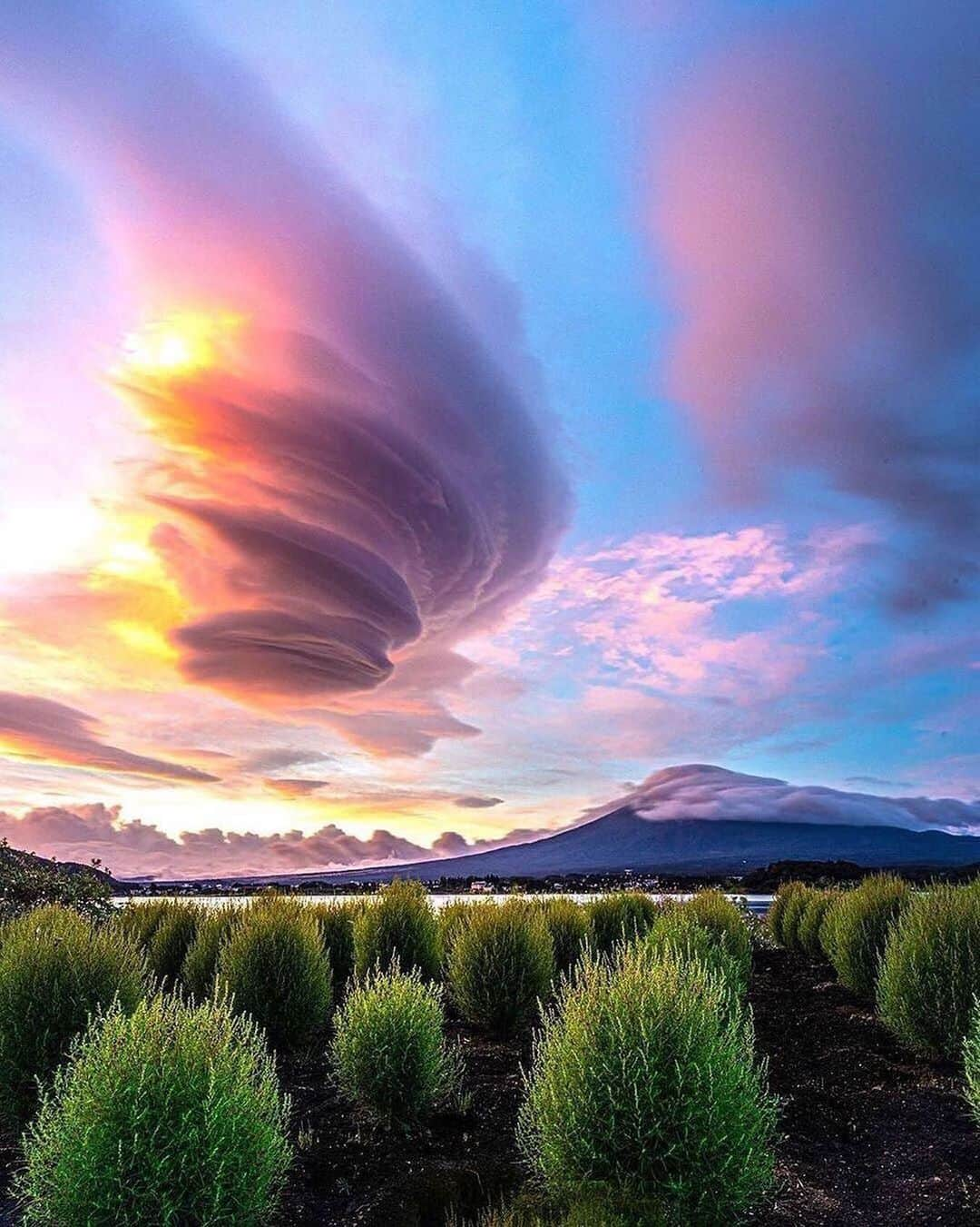 Canon Photographyさんのインスタグラム写真 - (Canon PhotographyInstagram)「Stunning lenticular clouds in 🇯🇵 Photography // @archi_kobayashi Curated by @steffeneisenacher  #lenticularclouds #lenticular #japan #fuji #mountfuji #sunsetphotography」2月1日 8時17分 - cpcollectives