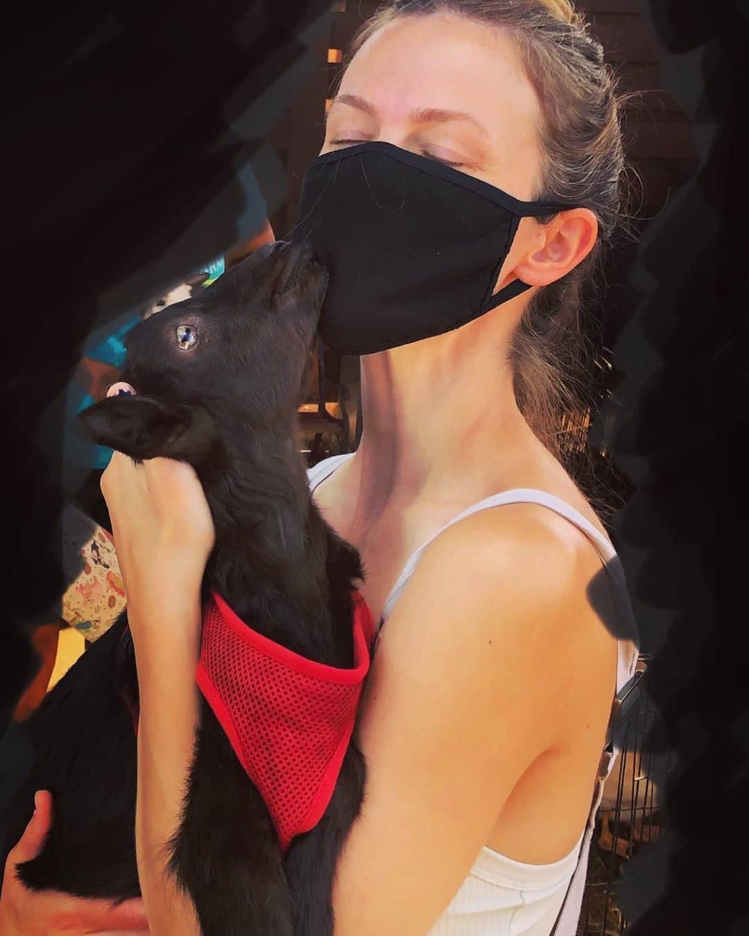 ブルックリン・デッカーのインスタグラム：「Today I nuzzled a baby rescue goat. Today was a good day.」