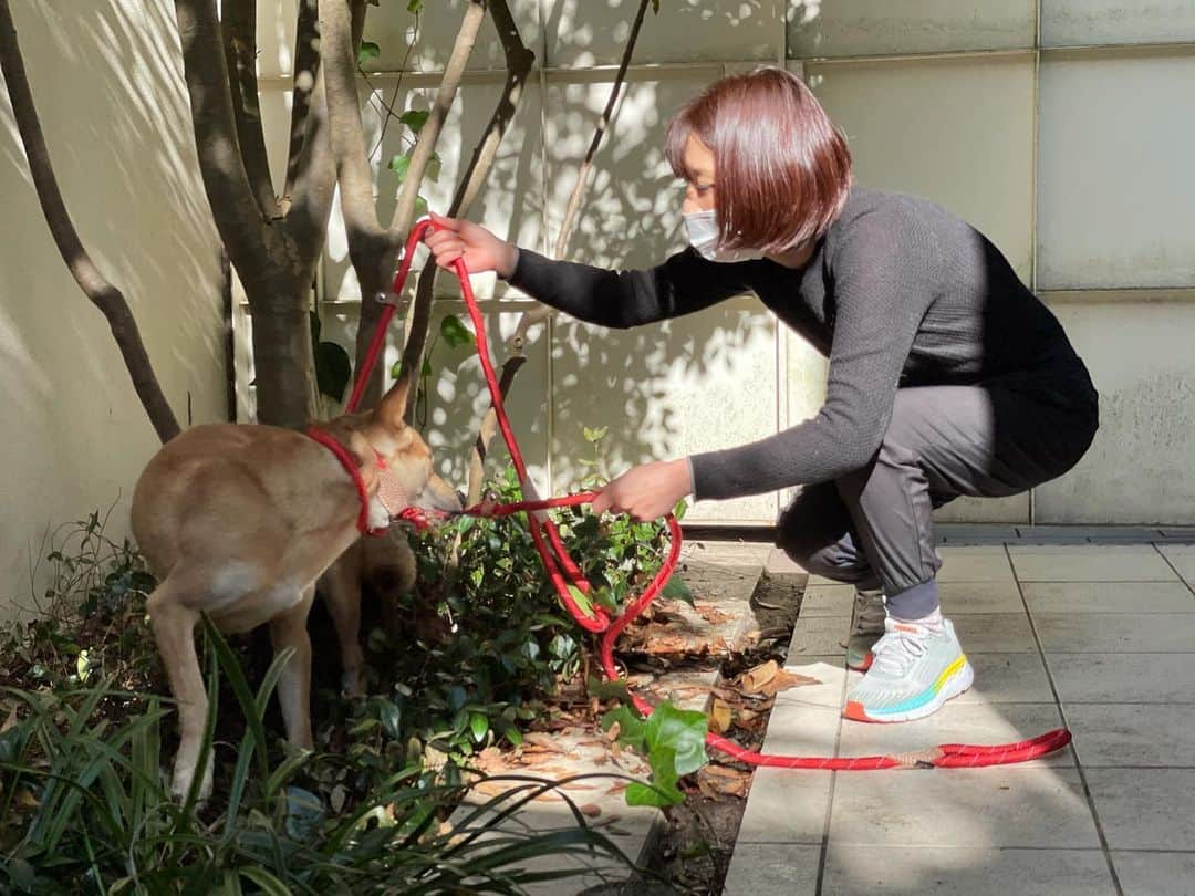 大日方久美子のインスタグラム