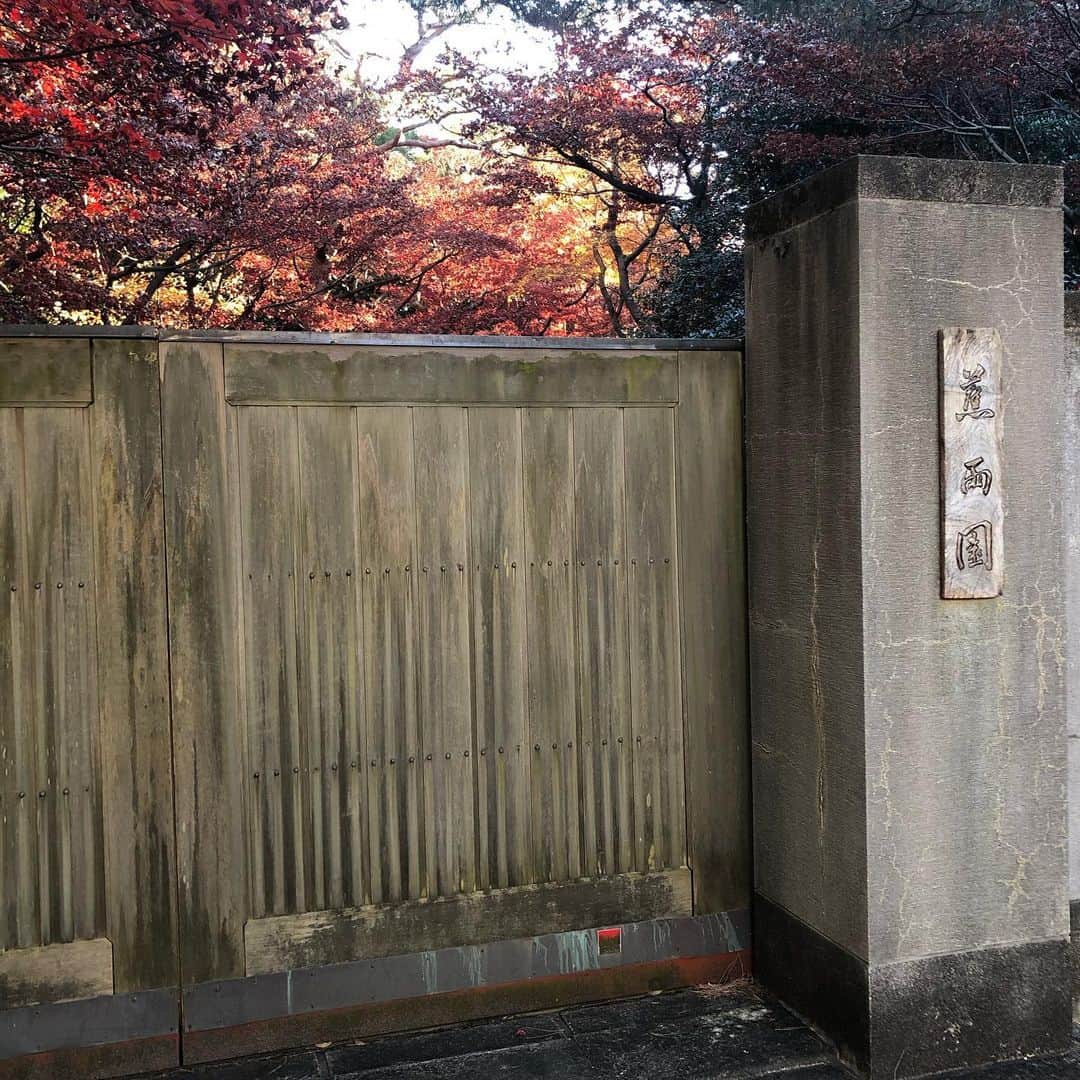 ヨネスケさんのインスタグラム写真 - (ヨネスケInstagram)「文京区にある、蕉雨園。公開されてないが、門の外からでも趣がある。 #蕉雨園#松尾芭蕉#文京区#田中伯爵#しょううえん」2月1日 10時06分 - yonesuke5656