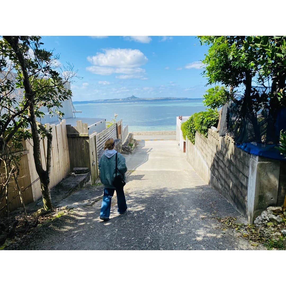 Anlyさんのインスタグラム写真 - (AnlyInstagram)「I'm in Okinawa  #沖縄 #伊江島 #今帰仁城跡 #桜 #本部 #ieisland #okinawa #sakura #nakijincastle」2月1日 10時19分 - anly_singer