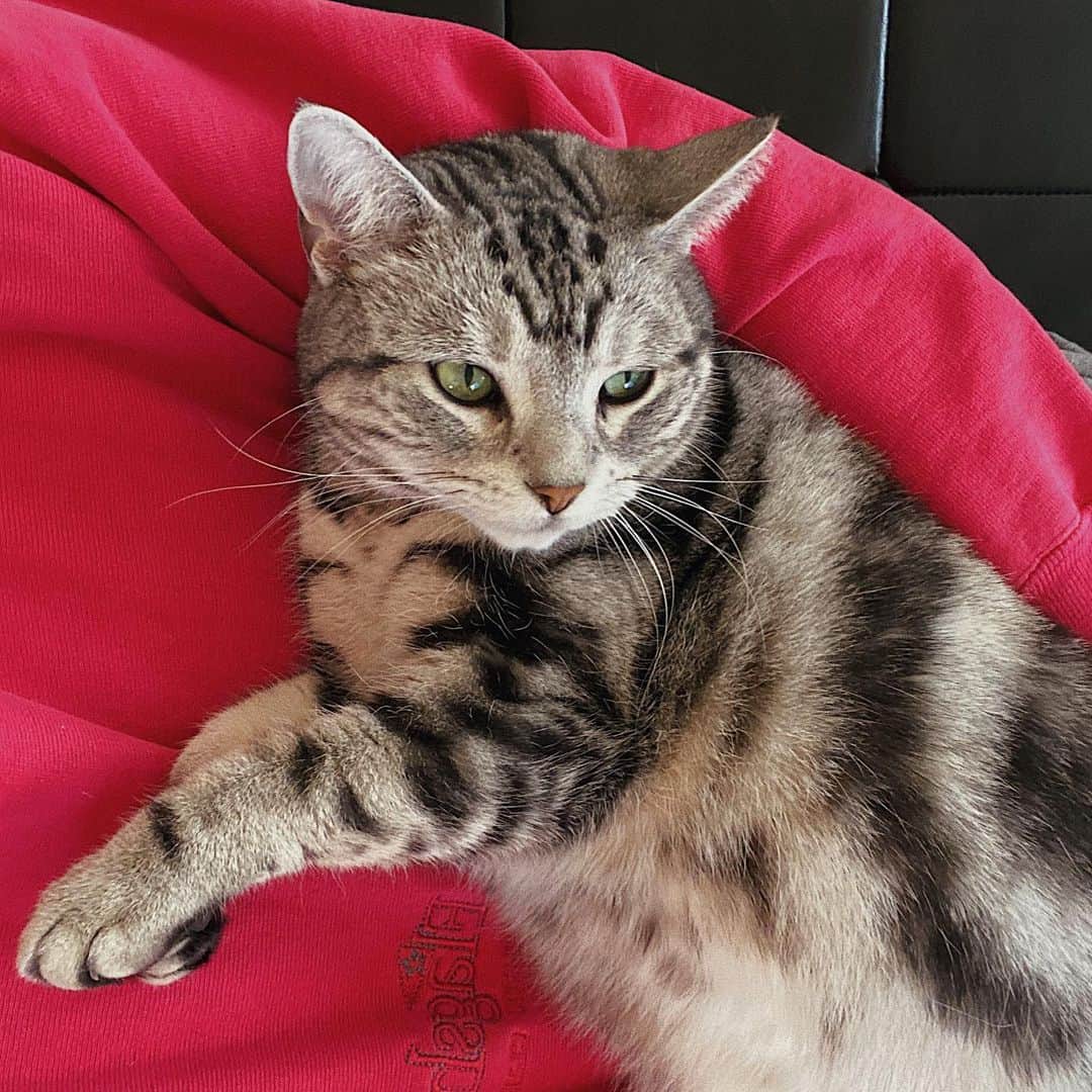 kaisakamotのグルメインスタ