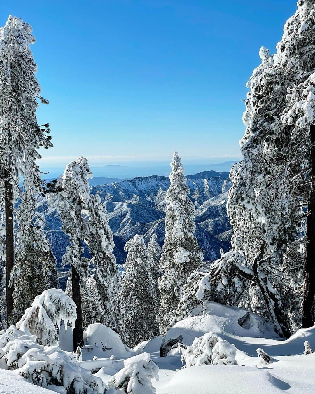 クリス・バーカードさんのインスタグラム写真 - (クリス・バーカードInstagram)「Skiing in Ventura, CA. Yesterday felt like once in a lifetime with perfect snow blanketing Ventura county.  We explored one of the more prominent & beautiful peaks in the Los Padres Wilderness. From the summit we could see the Channel Islands all the way to the Sierra! This is a coastal peak has been on my list to explore for years. Never thought I would be able to ski it tho. 2021 has brought a whole new meaning to backyard adventures. Truly the best kind there is. Sadly all I had was my iPhone for this ... a small part of me was sad for not being able to properly document but overall I felt more focused on being in this very rare moment.   Thanks @dylan.eslin for bringing it to life.」2月1日 10時25分 - chrisburkard