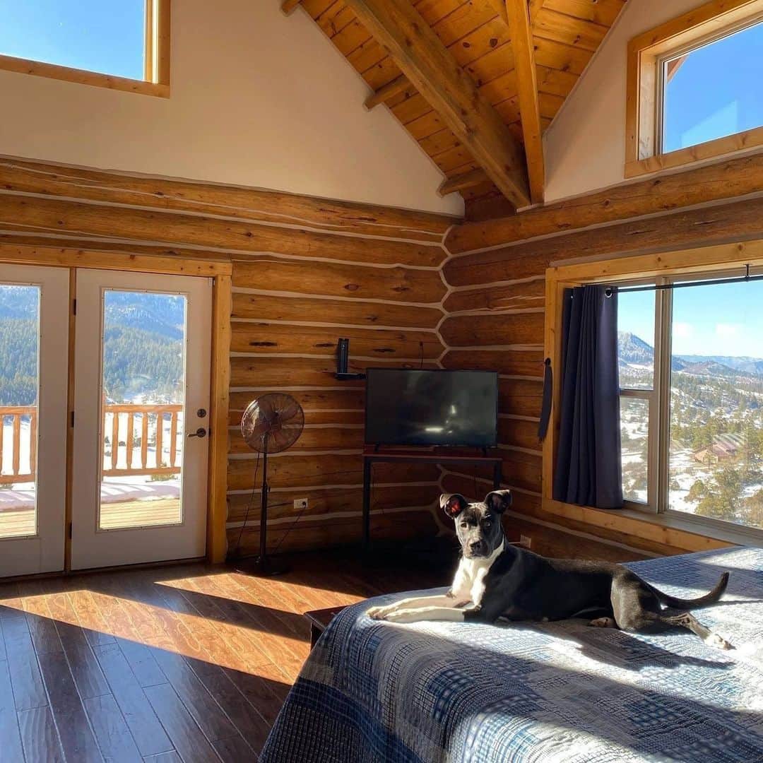 Airbnbのインスタグラム：「High in the San Juans, this log cabin has a way of generating smiles and wags on arrival. In fact, just about everything around here seems to be conspiring to re-energize you, from the mountain sunlight to the trails winding through aspens to the world’s deepest hot springs.   Photo: @ridin_with_harley」