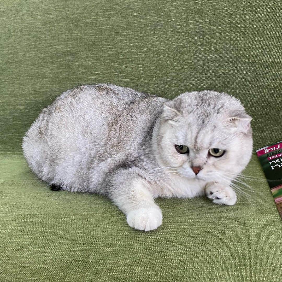 Haruのインスタグラム：「My little girl 💕」