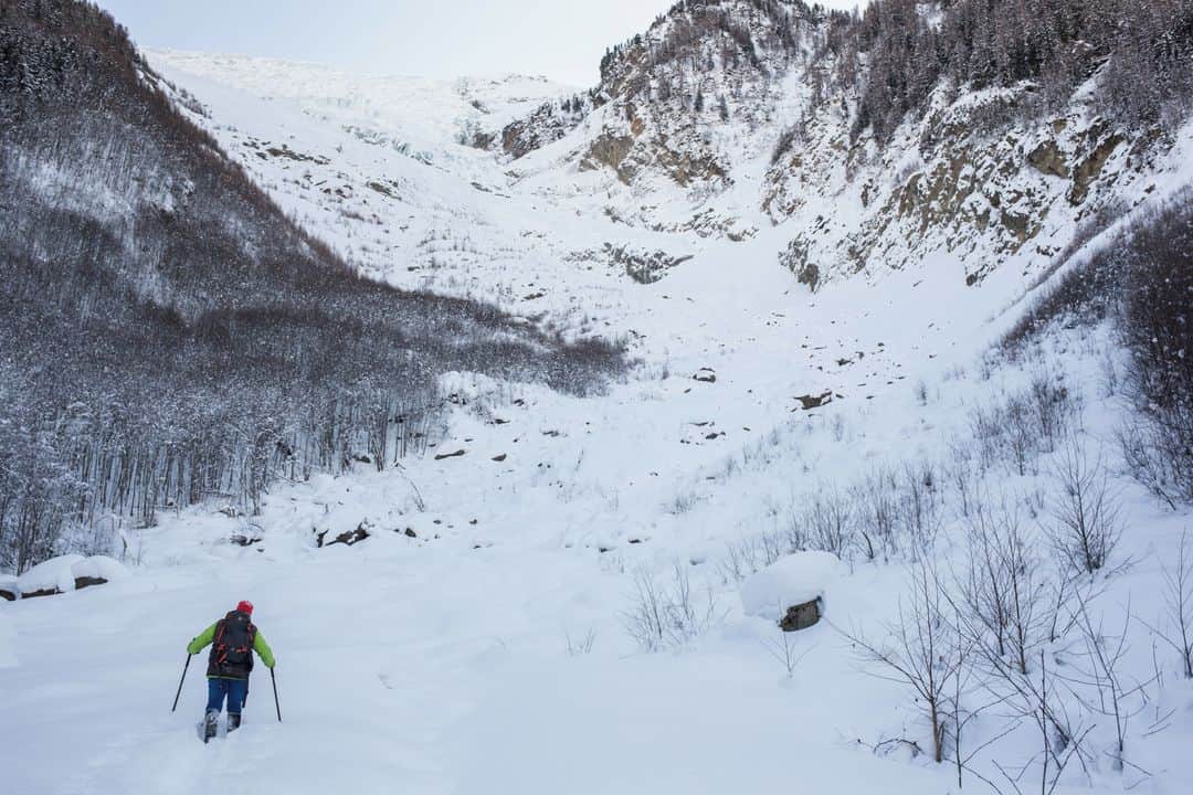 のインスタグラム：「Soudain, la trace qui grimpait dans la poudreuse, à travers les épicéas, débouche sur un vaste replat. Les teintes bleutées de la neige se fondent dans le ciel. Silence et beauté absolus. Là, dans cette cuvette cerclée d’immenses moraines, venait s’échouer le glacier des Bossons il y a une trentaine d’années. Désormais, il faut lever les yeux pour apercevoir, 1 000 mètres plus loin, ce qu’il reste de la langue glaciaire connue pour être la voie historique d’ascension du mont Blanc.⁣ Les Alpes, et la vallée de Chamonix, ont gagné plus de 2 °C depuis le milieu du XIXe siècle, soit un réchauffement climatique deux à trois fois plus rapide que pour le reste du globe. Désormais, les températures augmentent de 0,5 °C par décennie et, depuis 2015, tous les étés ou presque sont caniculaires. Cette surchauffe s’explique surtout du fait d’un cercle vicieux : « Le réchauffement fait fondre la glace et la neige, qui sont des surfaces réfléchissantes. Elles sont remplacées par des roches, plus sombres, qui absorbent davantage les rayons du soleil », explique Ludovic Ravanel, géomorphologue (CNRS) à l’université Savoie Mont Blanc.⁣ ⁣ -⁣ 1 : Le guide Vincent Ravanel marche là où se situait il y a quelques dizaines d'années le glacier des Bossons, à Chamonix (Haute-Savoie), le 19 janvier⁣ 2 : Anne Delestrade, directrice du CREA (Centre de recherche sur les écosystèmes d'altitude), récupère des photos de pièges photographiques installés sur un arbre pour observer le passage des animaux sauvages⁣ 3 : Le glacier des Bossons s'étendait jusqu'ici il y a 30 ans, maintenant la végétation a repoussé⁣ 4 : Vincent Ravanel, guide, à Chamonix⁣ 5 : Le local du CREA, aménagé par Joseph Vallot, scientifique de la fin du 19ème siècle, à Chamonix (Haute-Savoie)⁣ 6 : François Damilano, guide, éditeur, cinéaste et écrivain, à Chamonix⁣ 7 : Au milieu l'aiguille du Midi, à droite le glacier des Bossons⁣ -⁣ Photos : Pablo Chignard #PourLeMonde⁣ -⁣ #montagne #climat」