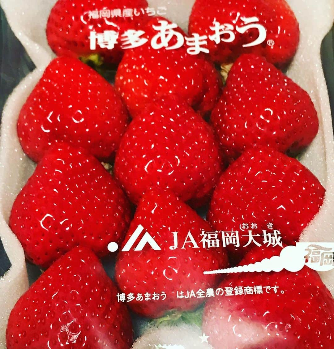 ハチミツ二郎さんのインスタグラム写真 - (ハチミツ二郎Instagram)「#いちご #あまおう #🍓」2月1日 20時36分 - jirohachimitsu