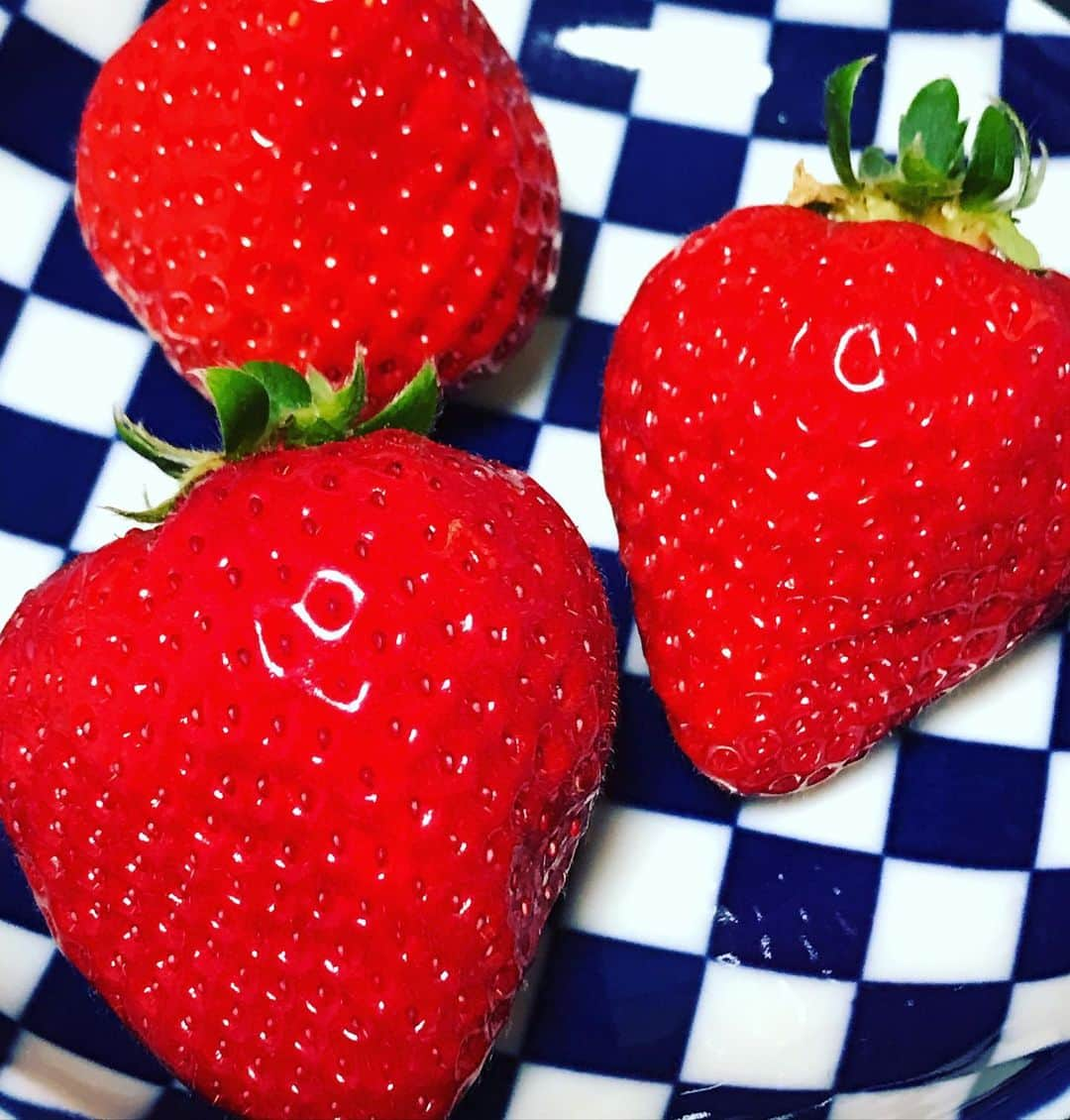 ハチミツ二郎さんのインスタグラム写真 - (ハチミツ二郎Instagram)「#いちご #あまおう #🍓」2月1日 20時36分 - jirohachimitsu